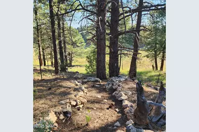 3148 Pioneer Trail, Flagstaff, AZ 86005 - Photo 93