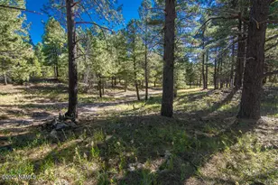 3148 Pioneer Trl, Flagstaff, AZ 86005 - Photo 115