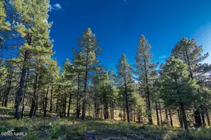 3148 Pioneer Trl, Flagstaff, AZ 86005 - Photo 113