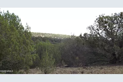 13 N Westwood Ranch Road #356, Williams, AZ 86046 - Photo 23