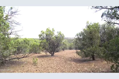 13 N Westwood Ranch Road #356, Williams, AZ 86046 - Photo 25