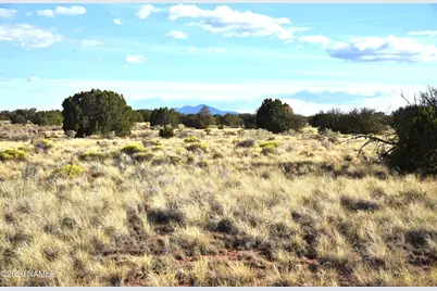 000 Santa Clara Road, Williams, AZ 86046 - Photo 5