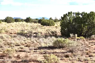 00 Santa Clara Road SW, Williams, AZ 86046 - Photo 1