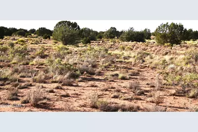 00 Santa Clara Road SW, Williams, AZ 86046 - Photo 5