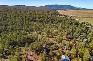 153 Mesa Dr, Mormon Lake, AZ 86038 - Photo 39