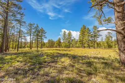 153 Mesa Drive, Mormon Lake, AZ 86038 - Photo 3