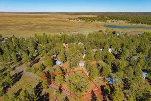 153 Mesa Dr, Mormon Lake, AZ 86038 - Photo 35