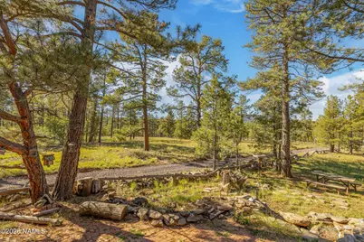 153 Mesa Drive, Mormon Lake, AZ 86038 - Photo 29