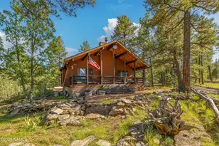 153 Mesa Dr, Mormon Lake, AZ 86038 - Photo 27