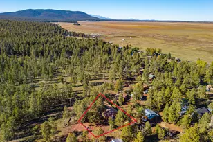 153 Mesa Dr, Mormon Lake, AZ 86038 - Photo 37
