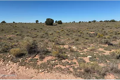 2607 E Valle Road, Williams, AZ 86046 - Photo 5
