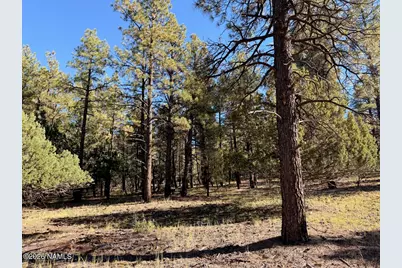 778 N Double A Ranch Road, Williams, AZ 86046 - Photo 17
