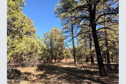 778 N Double A Ranch Road, Williams, AZ 86046 - Photo 11