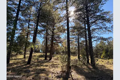 778 N Double A Ranch Road, Williams, AZ 86046 - Photo 13