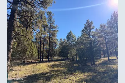778 N Double A Ranch Road, Williams, AZ 86046 - Photo 9