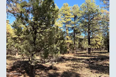 778 N Double A Ranch Road, Williams, AZ 86046 - Photo 15