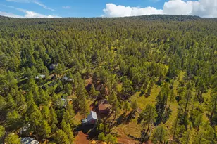 181 Mesa Dr, Mormon Lake, AZ 86038 - Photo 33