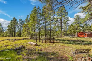 181 Mesa Dr, Mormon Lake, AZ 86038 - Photo 21