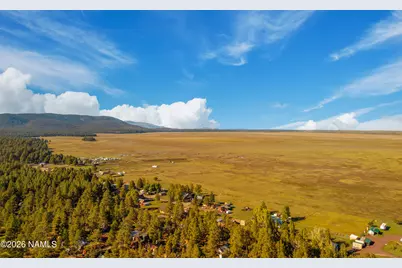 181 Mesa Drive, Mormon Lake, AZ 86038 - Photo 41