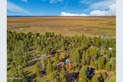 181 Mesa Drive, Mormon Lake, AZ 86038 - Photo 29