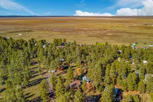 181 Mesa Dr, Mormon Lake, AZ 86038 - Photo 29