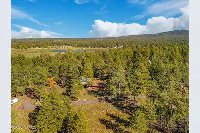 181 Mesa Drive, Mormon Lake, AZ 86038 - Photo 23