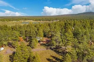 181 Mesa Dr, Mormon Lake, AZ 86038 - Photo 23