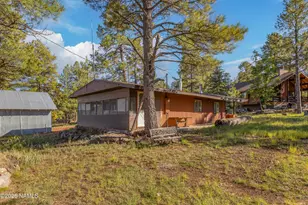 181 Mesa Dr, Mormon Lake, AZ 86038 - Photo 47