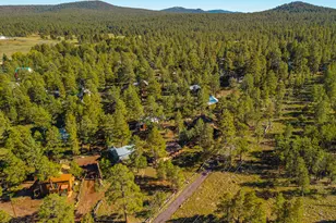 181 Mesa Dr, Mormon Lake, AZ 86038 - Photo 35