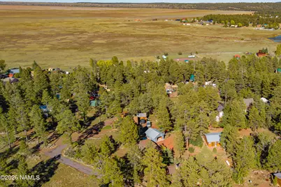 181 Mesa Drive, Mormon Lake, AZ 86038 - Photo 27