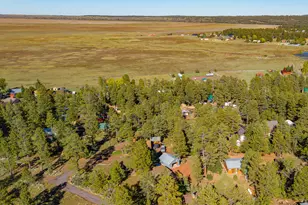 181 Mesa Dr, Mormon Lake, AZ 86038 - Photo 27