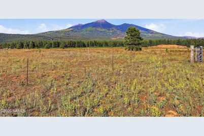6830 N Highway 180, Flagstaff, AZ 86001 - Photo 37