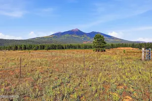 6830 N Hwy 180, Flagstaff, AZ 86001 - Photo 37