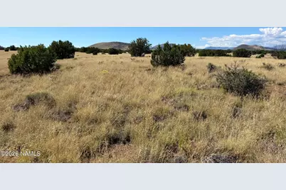 15641 Leupp Road, Flagstaff, AZ 86004 - Photo 31