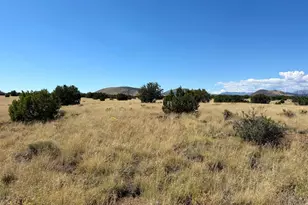 15641 Leupp Rd, Flagstaff, AZ 86004 - Photo 31
