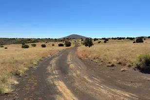 15641 Leupp Rd, Flagstaff, AZ 86004 - Photo 33