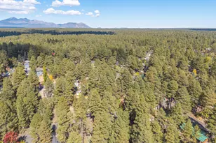 538 Choctaw, Flagstaff, AZ 86005 - Photo 59