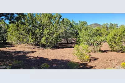 2432 E Fir Street, Williams, AZ 86046 - Photo 13