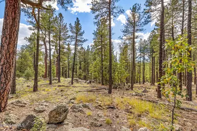 2550 Ben Brooks -- 4, Flagstaff, AZ 86005 - Photo 37