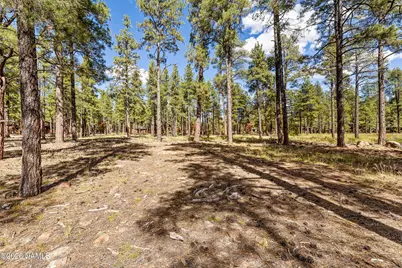 2550 Ben Brooks -- 4, Flagstaff, AZ 86005 - Photo 31