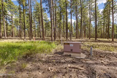 2550 Ben Brooks -- 4, Flagstaff, AZ 86005 - Photo 29