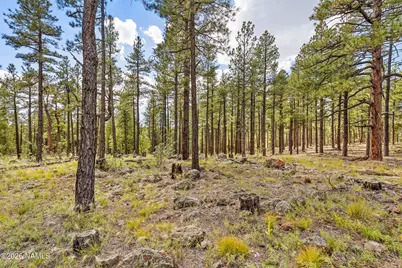 2550 Ben Brooks -- 4, Flagstaff, AZ 86005 - Photo 33