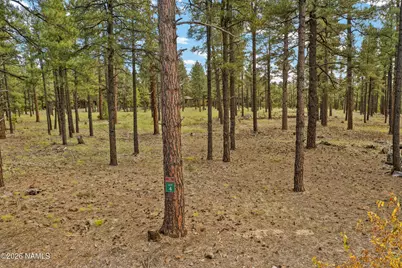 2550 Ben Brooks -- 4, Flagstaff, AZ 86005 - Photo 21