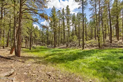2550 Ben Brooks -- 4, Flagstaff, AZ 86005 - Photo 3