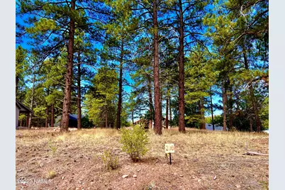 938 Torrey Pines Drive #200, Williams, AZ 86046 - Photo 1