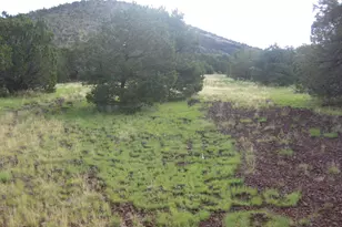 6087 N Joshua Tree Rd, Williams, AZ 86046 - Photo 1