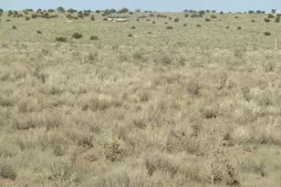 275 E Pne Rd, Williams, AZ 86046 - Photo 1