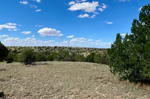 5733 W Clove Hitch Rd, Williams, AZ 86046 - Photo 1