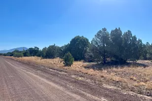 1354 E Ventura Ave, Williams, AZ 86046 - Photo 1