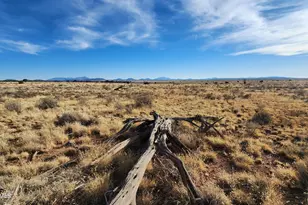 929 E Princeton Ave, Williams, AZ 86046 - Photo 1